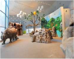 One of the greatest galleries of the Museum is the History Gallery. History Gallery is said to be one of the finest galleries as it is filled with col